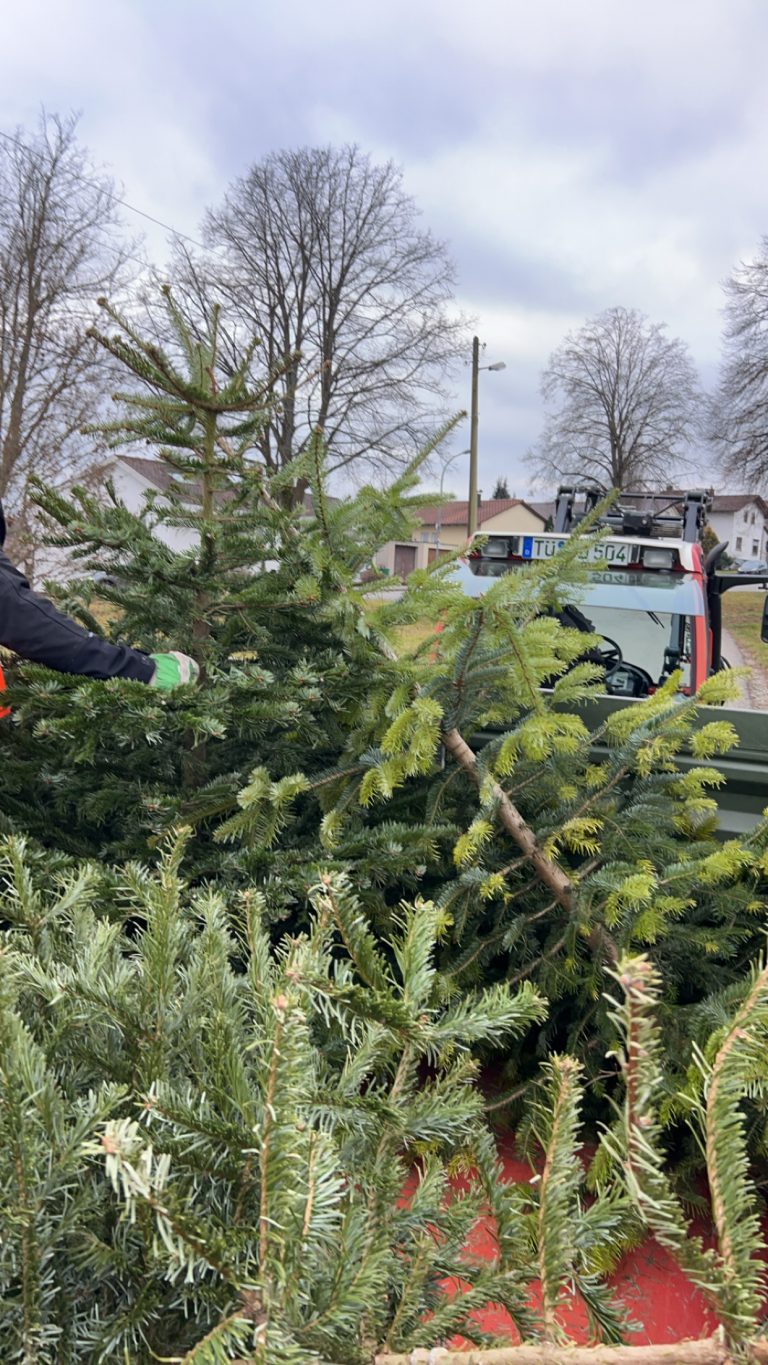 Weihnachtsbaumaktion