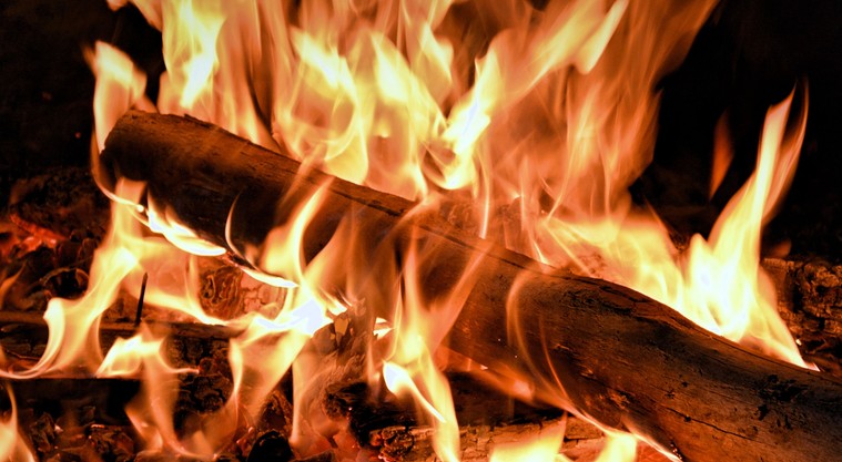 Mitarbeitende Sommergrillen